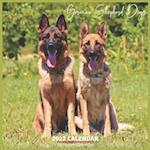 German Shepherd Dogs Calendar 2022: Official The German Shepherd Dogs Calendar 2022, 16 Month Calendar 2022 