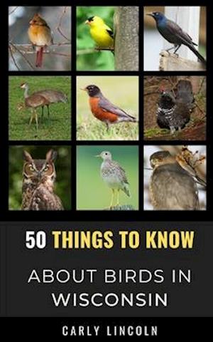 50 Things to Know About Birds in Wisconsin : Birding in the Badger State