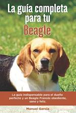 La Guía Completa Para Tu Beagle