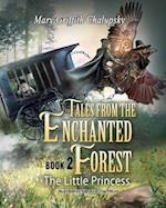 Tales from the Enchanted Forest: The Little Princess 