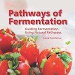 Pathways of Fermentation 