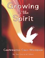Growing in the Spirit: Catholic Confirmation Workbook 