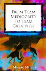 From Team Mediocrity To Team Greatness: A handbook to working within Teams 