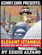 Elegant Istanbul: Interesting Facts About Istanbul 