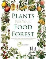 PLANTS FOR YOUR FOOD FOREST: 500 PLANTS FOR TEMPERATE FOOD FORESTS AND PERMACULTURE GARDENS 