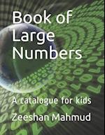 Book of Large Numbers: A catalogue for kids 