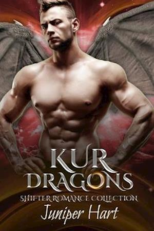 Kur Dragons: Shifter Romance Collection