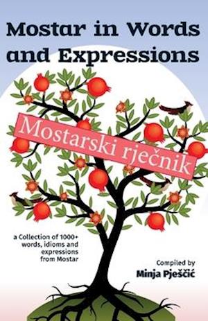 Mostar in words and expressions: Mostarski rjecnik