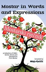 Mostar in words and expressions: Mostarski rjecnik 