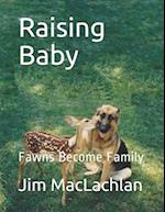 Raising Baby: Fawns Become Family 
