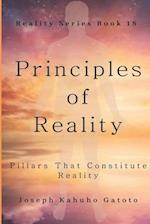 Principles of Reality: Pillars That Constitute Reality 