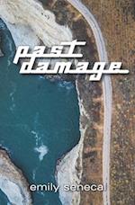 Past Damage 