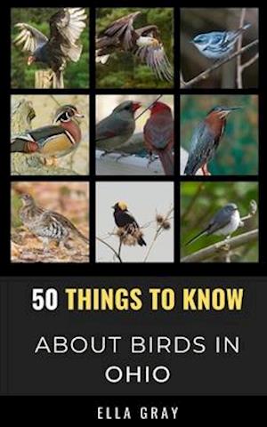 50 Things to Know About Birds in Ohio : Birding in the Buckeye State