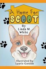 A Home for Scoot 