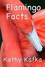 Flamingo Facts 