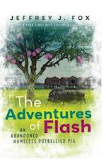 The Adventures of FLASH: An Abandoned Homeless Potbellied Pig (Inspired By a True Story) 