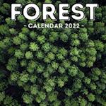 Forest Calendar 2022: 16-Month Calendar, Cute Gift Idea For Forest Lovers Women & Men 