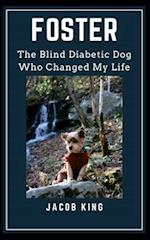 FOSTER: The Blind Diabetic Dog Who Changed My Life 