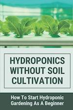 Hydroponics Without Soil Cultivation
