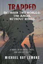 Trapped Between Two Worlds: The Angel Without Wings 