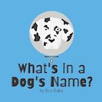 What's in a Dog's Name? 