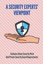 A Security Experts' Viewpoint