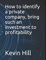 How to identify a private company, bring such an investment to profitability 
