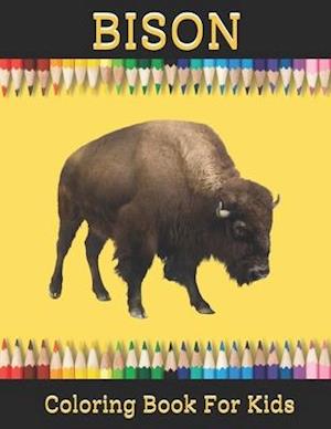 Bison Coloring book for Kids: Bison Coloring Book for Boys and Girls of All Ages