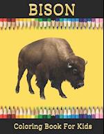 Bison Coloring book for Kids: Bison Coloring Book for Boys and Girls of All Ages 