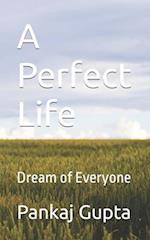 A Perfect Life: Dream of Everyone 