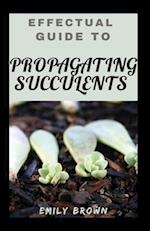 Effectual Guide To Propagating Succulents 