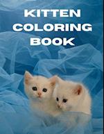 Kitten Coloring Book 