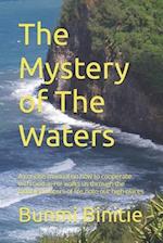 The Mystery of The Waters: A concise manual on how to cooperate with God as He walks us through the troubled waters of life onto our high places 