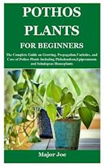 POTHOS PLANTS FOR BEGINNERS: The Complete Guide on Growing, Propagation,Varieties, and Care of Pothos Plants Including Philodendron,Epipremnum and Sci