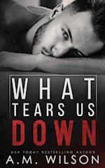 What Tears Us Down 