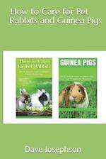 How to Care for Pet Rabbits and Guinea Pigs: The Essential Guide to Ownership, Care, and Training for Beginners-2 Books in 1 