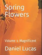 Spring Flowers: Volume 4 Magnificent 