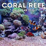 Coral Reef Calendar 2022: 16-Month Calendar, Cute Gift Idea For Women & Men 