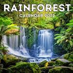 Rainforest Calendar 2022: 16-Month Calendar, Cute Gift Idea For Forest Lovers Women & Men 