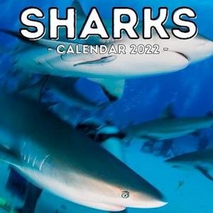 Sharks Calendar 2022: 16-Month Calendar, Cute Gift Idea For Shark Lovers Men And Women