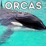Orcas Calendar 2022: 16-Month Calendar, Cute Gift Idea For Killer Whales Lovers Women & Men 