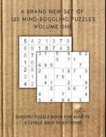 A brand new set of 120 mind-boggling puzzles Volume one: Sudoku Puzzle Book for adults 6 levels easy to extreme 