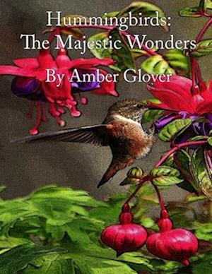 Hummingbird; The Majestic Wonders