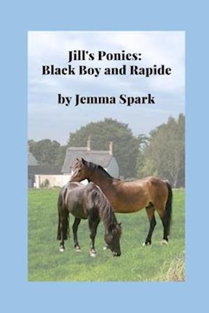 Jill's Ponies: Black Boy and Rapide