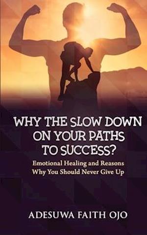 Why The Slow Down On Your Path To Success: Emotional Healing and Reasons Why Should Never Give Up