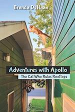 Adventures with Apollo: The Cat Who Rules Rooftops 