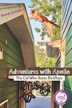 Adventures with Apollo: The Cat Who Rules Rooftops 