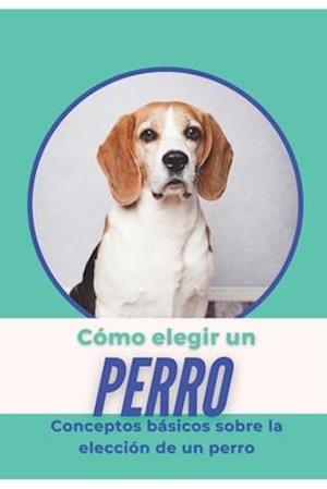 Cómo elegir un perro