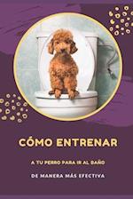 Cómo entrenar a tu perro para ir al baño de manera más efectiva