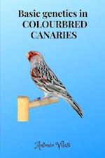 Basic genetics in COLOURBRED CANARIES